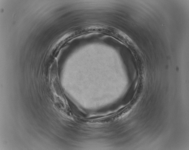 X0000061760825200512231548