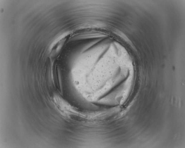 X0000061760826200512231548