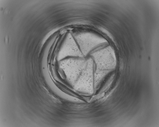 X0000061760829200512231549