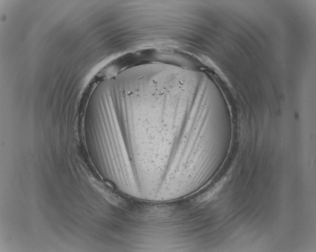 X0000061760830200512231549