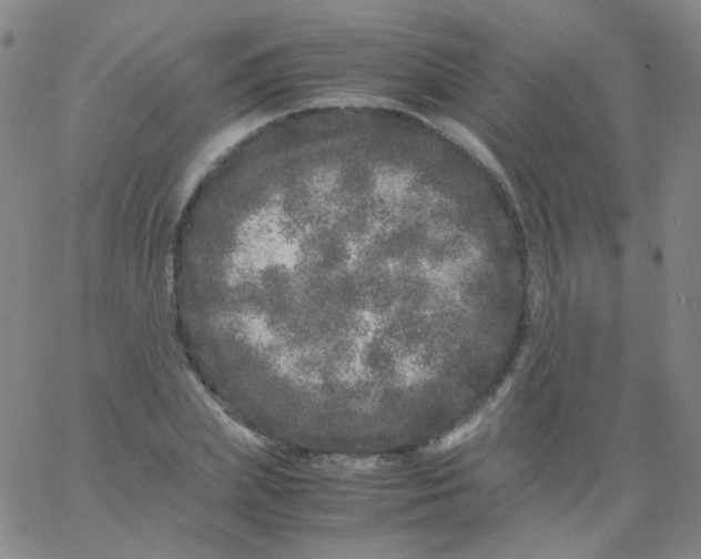 X0000061760831200512231549