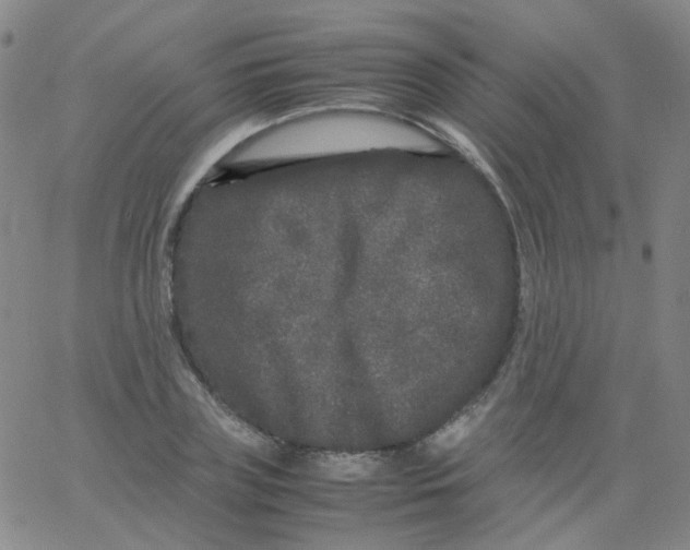 X0000061760835200512231549