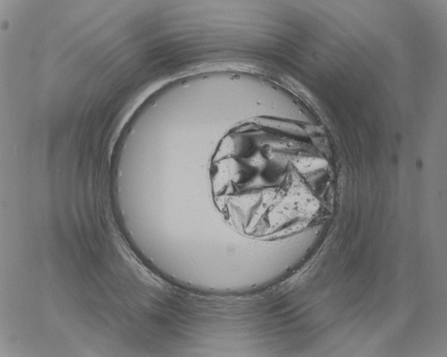 X0000061760836200512231549