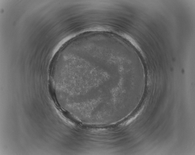 X0000061760837200512231549