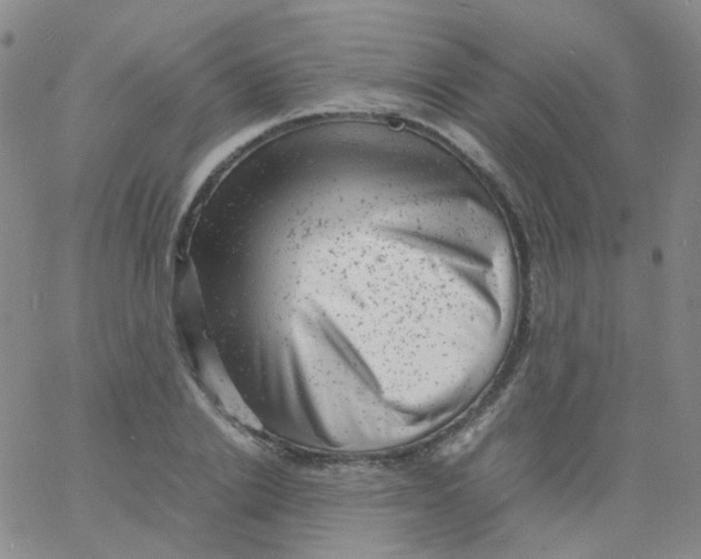 X0000061760838200512231549