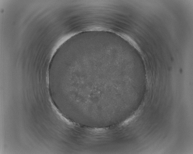 X0000061760839200512231549