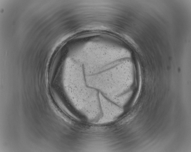 X0000061760840200512231549