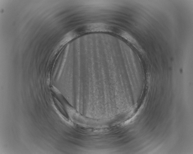 X0000061760841200512231549