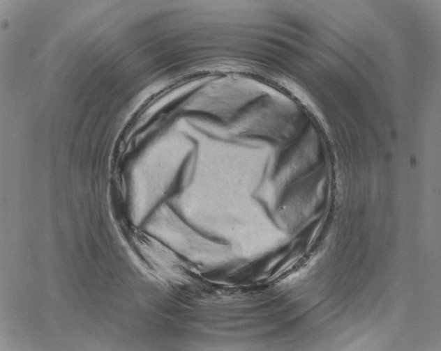 X0000061760845200512231549