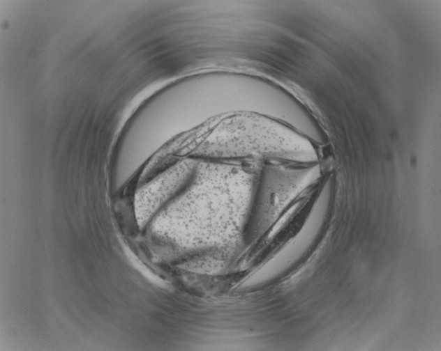 X0000061760846200512231549