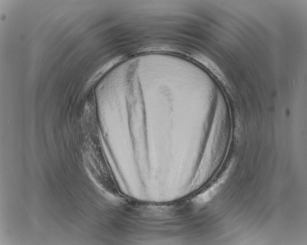 X0000061760849200512231549