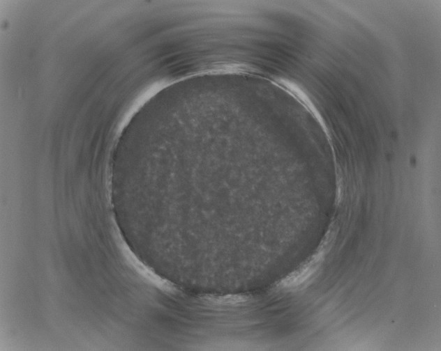 X0000061760851200512231549