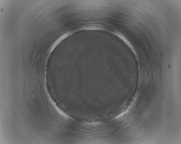 X0000061760853200512231549