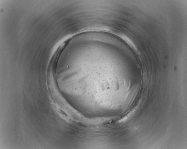 X0000061760854200512231549