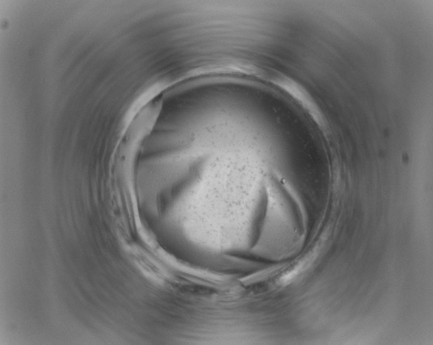 X0000061760858200512231549