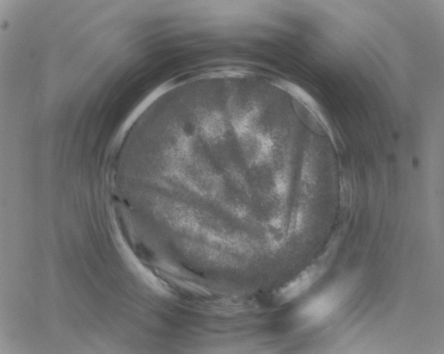 X0000061760859200512231549