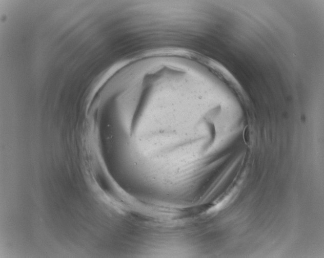 X0000061760860200512231549