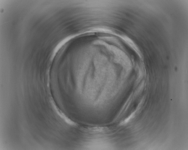 X0000061760862200512231549