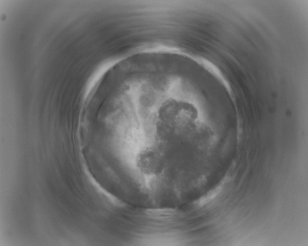 X0000061760863200512231549