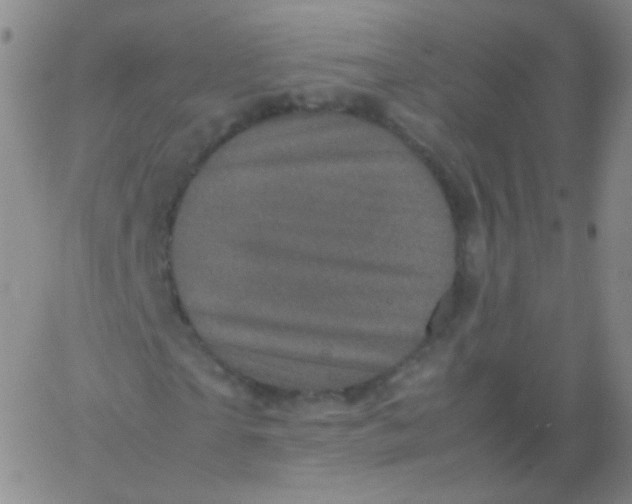 X0000061760865200512231548