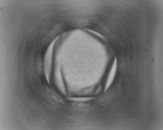 X0000061760866200512231548