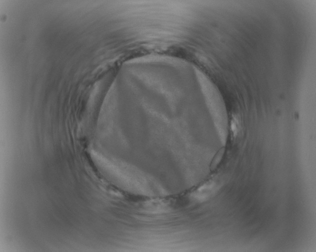 X0000061760867200512231548