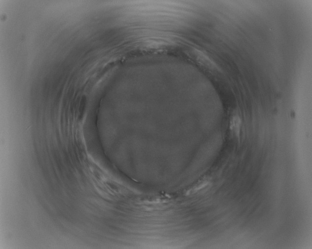 X0000061760868200512231548