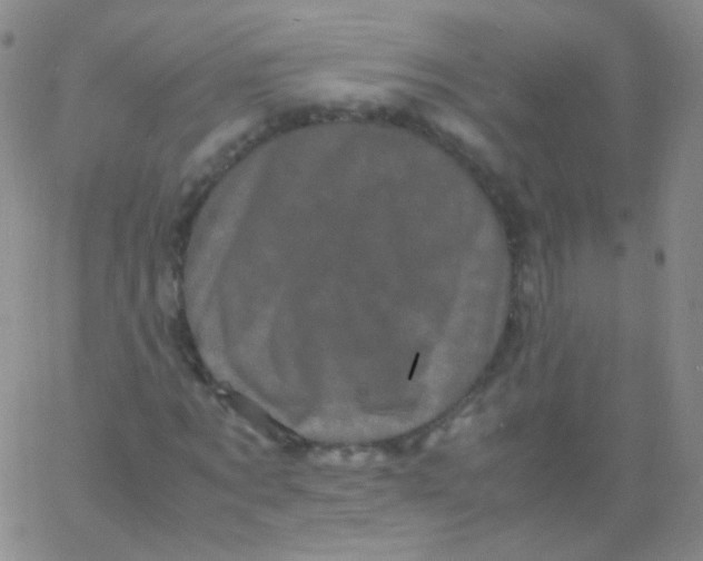 X0000061760869200512231548