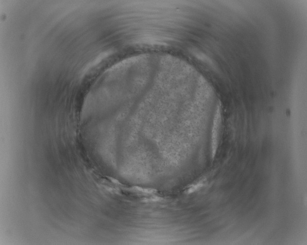 X0000061760870200512231548