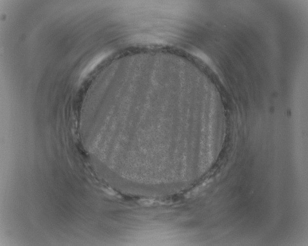 X0000061760871200512231548