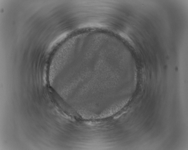 X0000061760872200512231548