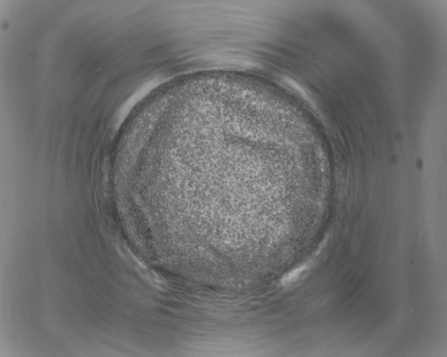 X0000061760875200512231548