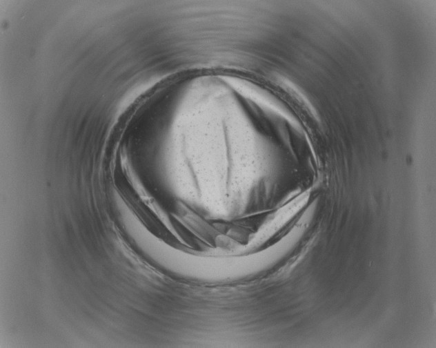 X0000061760876200512231548