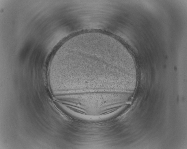 X0000061760878200512231548