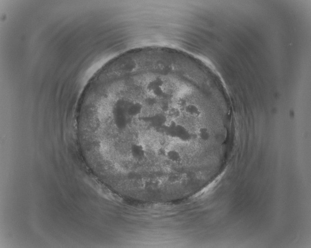 X0000061760879200512231548