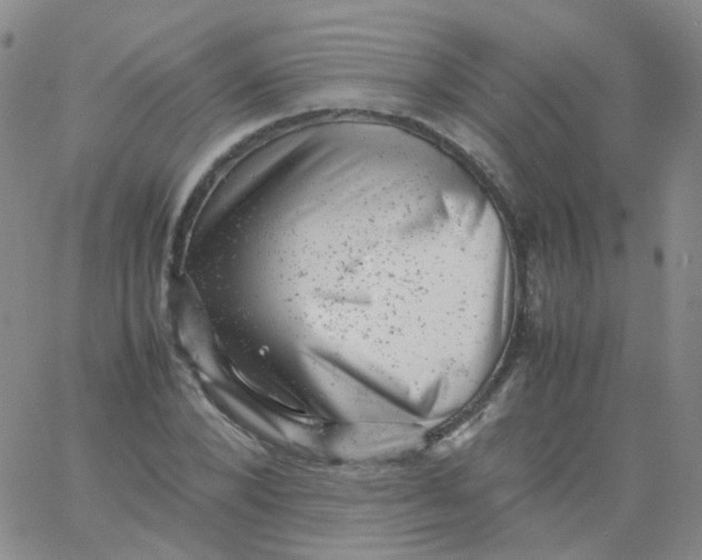 X0000061760880200512231548