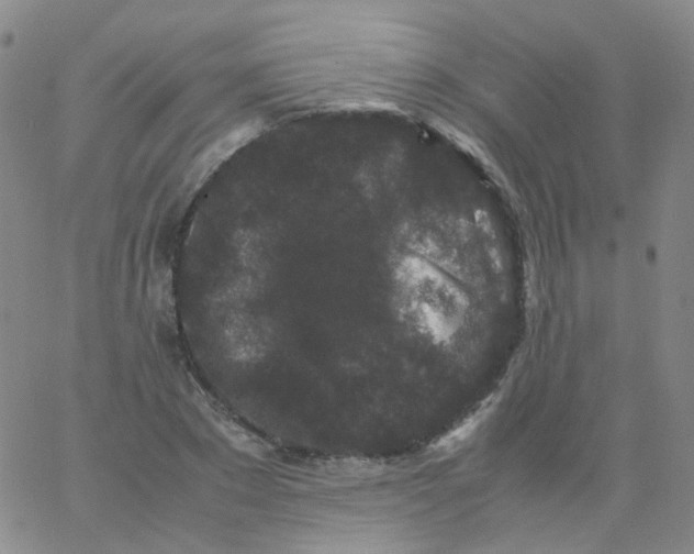 X0000061760881200512231548