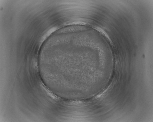 X0000061760882200512231548