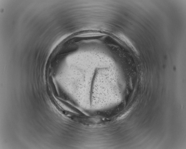 X0000061760884200512231548