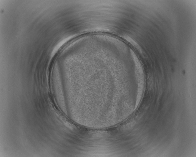 X0000061760886200512231548