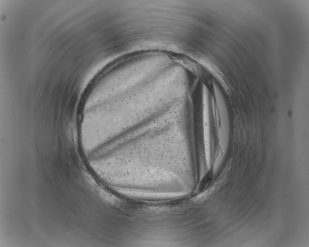 X0000061760888200512231548