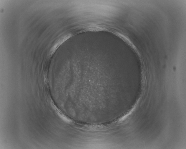 X0000061760889200512231548