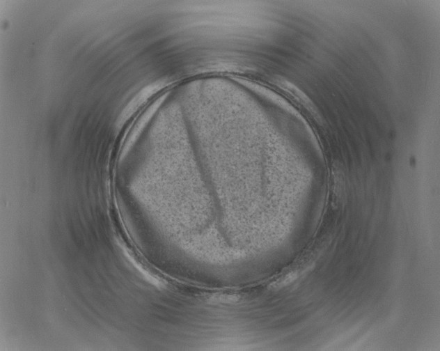 X0000061760890200512231548