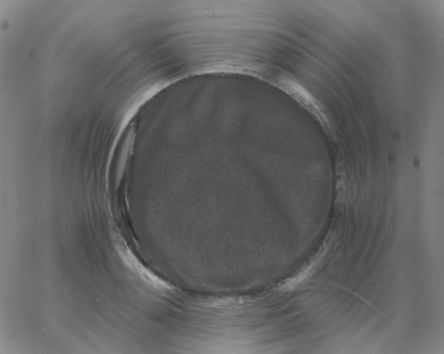 X0000061760892200512231548