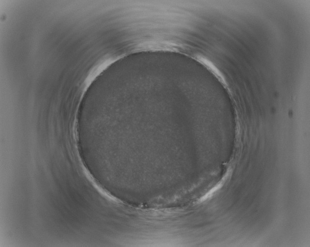 X0000061760893200512231548