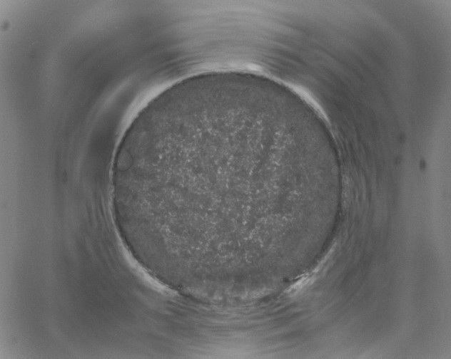 X0000061760895200512231548