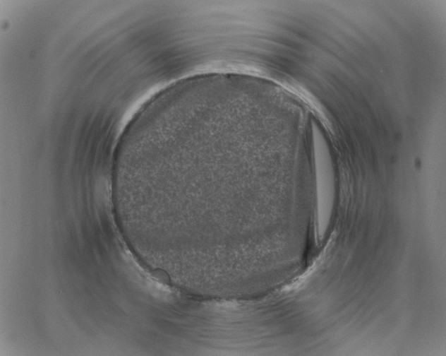 X0000061760896200512231548