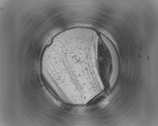 X0000061760898200512231548