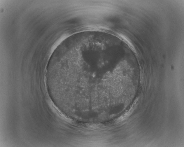 X0000061760899200512231548