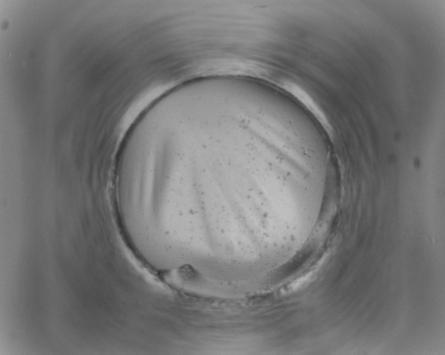 X0000061760901200512231548